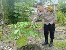 Bhabinkamtibmas Kelurahan Kota Tinggi Ajak Warga Manfaatkan Lahan Pekarangan Jadi Lahan Produktif
