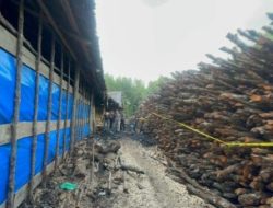 Riau Bongkar Perusakan Mangrove di Meranti, 3 Tersangka dan 100 Ton Arang Disita
