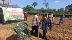 Perkuat Ketahanan Pangan, Kapolres Kuansing Dukung Penanaman Jagung Pipil di Seberang Taluk Hilir 