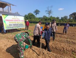 Perkuat Ketahanan Pangan, Kapolres Kuansing Dukung Penanaman Jagung Pipil di Seberang Taluk Hilir 