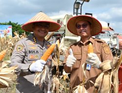 Polda Riau Terus Bergerak Dukung Swasembada Jagung, Karo SDM: Komitmen Wujudkan Ketahanan Pangan dalam Semangat Kolaborasi