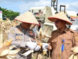 Polda Riau Dukung Swasembada Jagung, Karo SDM: Polri Hadir Sebagai Penggerak Kolaborasi Ketahanan Pangan