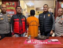 Ungkap Kasus Narkotika di Dusun II Sukajadi, Polsek Pujud Amankan 33,24 Gram Sabu dan 6 Butir Pil Ekstasi