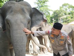 Dukung Inpres Prabowo, Green Policing Polda Riau Siap Jadi Garda Terdepan Penyelamatan Gajah