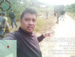 Di Back Up Unit Tipidter Satreskrim Polres Pelalawan, Polsek Kerumutan Ungkap Tindak Pidana Kehutanan di Dermaga Tasik