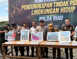 Geram Lihat Mangrove Dirusak, Kapolda Riau: Ini Benteng Masyarakat Pesisir, Tempat Satwa Berkembang Biak!