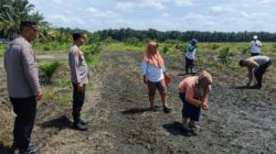 Kapolsek Kandis Tinjau Lahan Ketahanan Pangan, Beri Semangat Petani, Tingkatkan Produksi