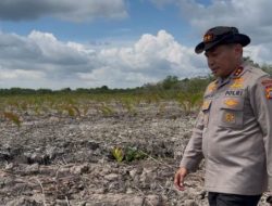 Kapolda Riau Datangi Lokasi Perusakan Mangrove Seluas 118 Hektare di Rohil, 2 Pelaku Ditangkap