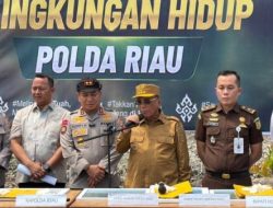 Bupati Rohil Apresiasi Polda Riau Ungkap Perusakan Mangrove, Imbau Masyarakat Tak Lagi Merusak Hutan