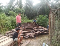 Diduga Hasil Ilegal Logging, Polsek Kerumutan Temukan 8 Kubik Papan di Dusun Kopau