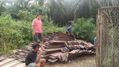 Diduga Hasil Ilegal Logging, Polsek Kerumutan Temukan 8 Kubik Papan di Dusun Kopau