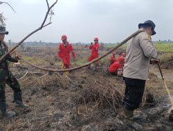 287 Personel Gabungan Kejar Pemadaman Karhutla Pelalawan