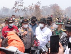 Tinjau Titik Api di Kampar, Menteri LHK dan Kapolda Riau Pastikan Karhutla Tertangani