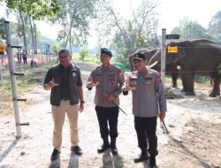Kapolda Riau Resmikan Breeding Area Gajah Sumatera di PLG Minas, Perkuat Komitmen Jaga Kelestarian Satwa dan Hutan
