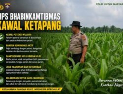 Bukan Sekadar Hadir, Ini Cara Bhabinkamtibmas Polsek Kandis Kawal Ketahanan Pangan