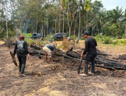 Gara-gara Usir Nyamuk, Seorang Pensiunan di Inhu Bakar Lahan dan Hanguskan Kebun Sawit