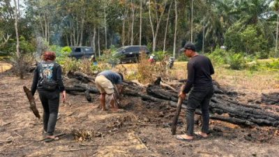 Gara-gara Usir Nyamuk, Seorang Pensiunan di Inhu Bakar Lahan dan Hanguskan Kebun Sawit
