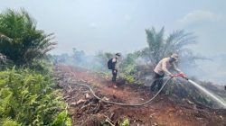 Karhutla di Kerumutan Pelalawan Masih Menyala, Helikopter BNPB Diterjunkan Bantu Padamkan Api