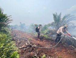 Karhutla di Kerumutan Pelalawan Masih Menyala, Helikopter BNPB Diterjunkan Bantu Padamkan Api