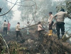 Sinergi Polsek Kerumutan, Tim Gabungan dan Warga Padam Karhutla 5 Hektare di Lingkungan Air Kuning