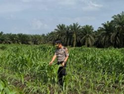 Kapolsek Kandis Maknai Semangat Merah Putih, Merajut Persatuan, Menjaga Ketahanan Pangan