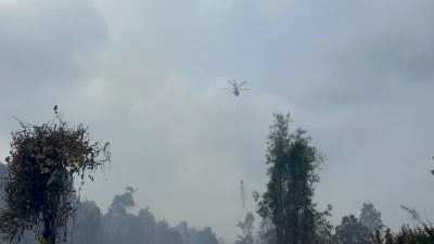 Polda Riau Kini Tangani 45 Kasus Karhutla, 49 Orang Jadi Tersangka