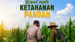 Wujud Nyata Ketahanan Pangan dari Kampung Jambai Makmur