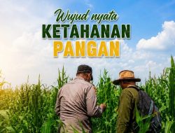 Wujud Nyata Ketahanan Pangan dari Kampung Jambai Makmur