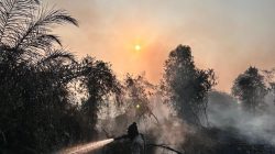 Hari Kedua Kebakaran Rimbo Panjang, 23 Personel Kejar Target Padamkan 1 Hektar