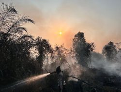 Hari Kedua Kebakaran Rimbo Panjang, 23 Personel Kejar Target Padamkan 1 Hektar