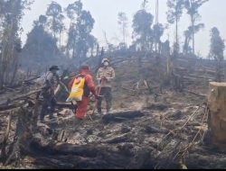 Minim Air Tanpa Sinyal, 98 Personel Gabungan Padamkan 7 Titik Karhutla di Kampar