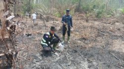 Buronan Karhutla di Siak Ditangkap, Bakar Lahan untuk Tanam Sawit