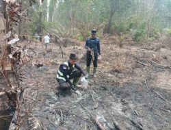 Buronan Karhutla di Siak Ditangkap, Bakar Lahan untuk Tanam Sawit
