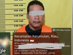 Rugi Rp 720 Ribu Pencuri Sawit di Blok 28 Diamankan