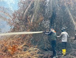 Bupati dan Kapolres Inhu Tinjau Langsung Lokasi Karhutla Sungai Guntung Hilir