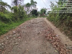 Warga Desa Giri Jagabaya Keluhkan Jalan Rusak Parah, Gotong Royong Berujung Duka